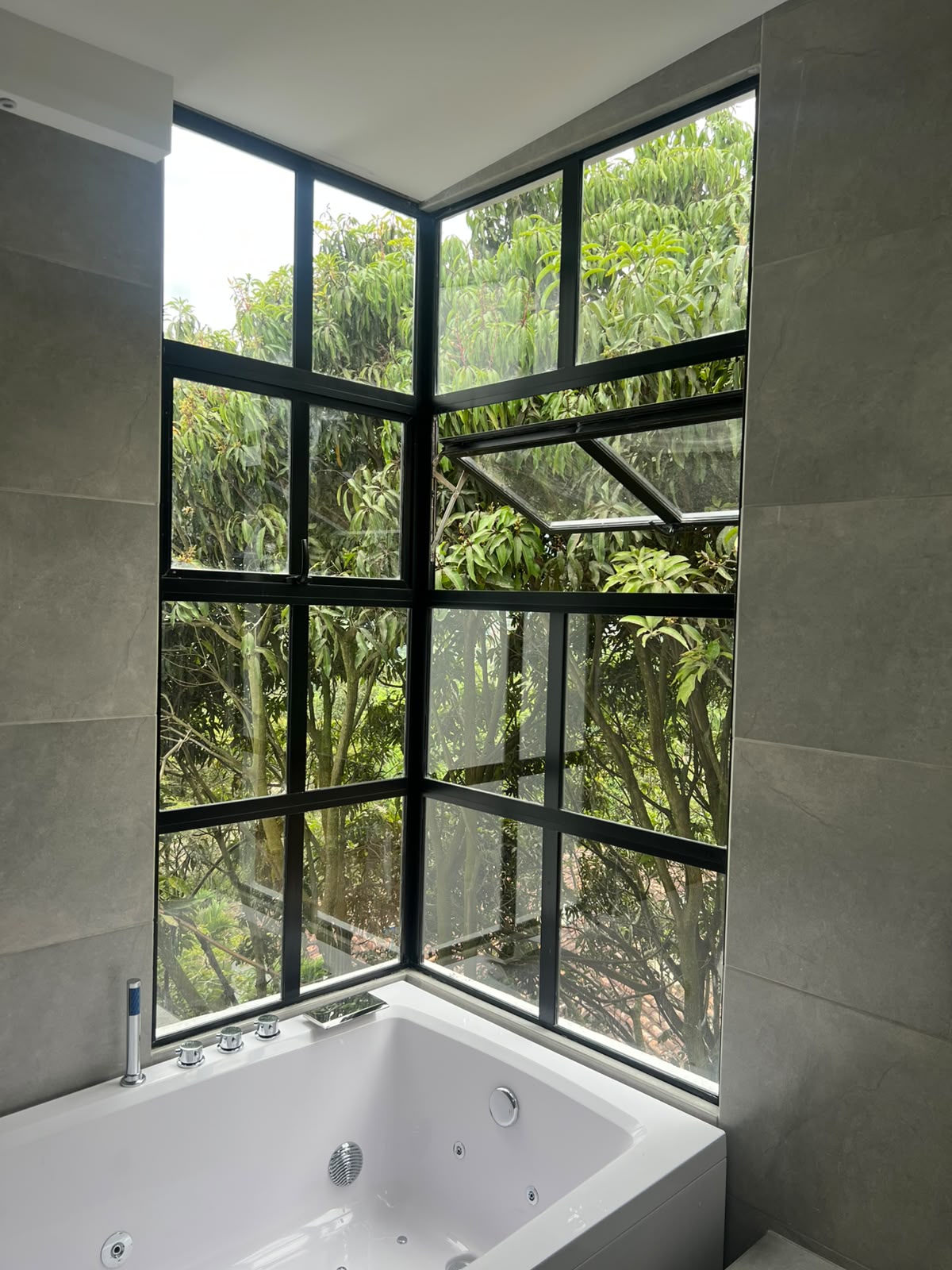 Puerta vidriera corrediza hacia el jardín